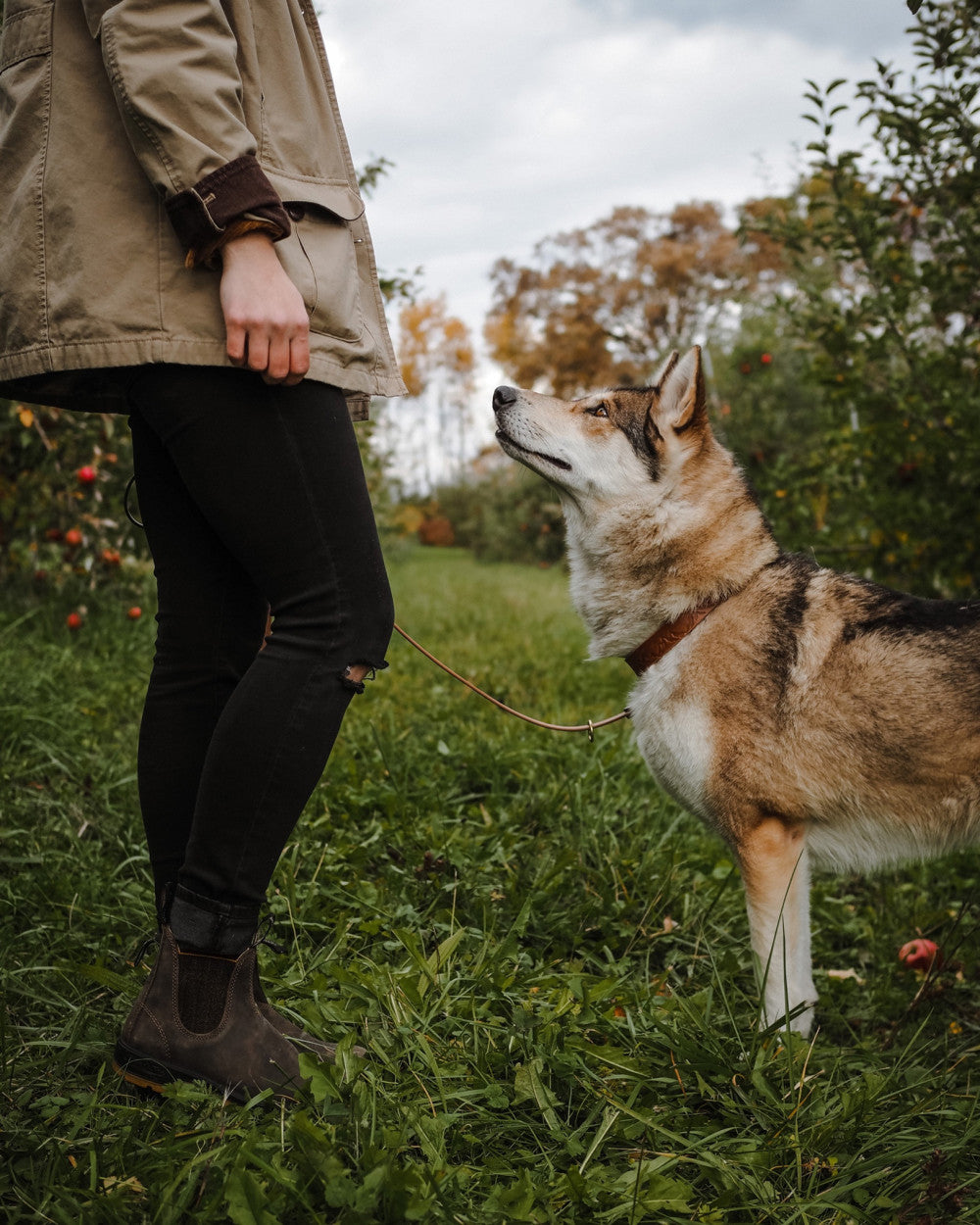 Women's Classics #1944 - Image 16