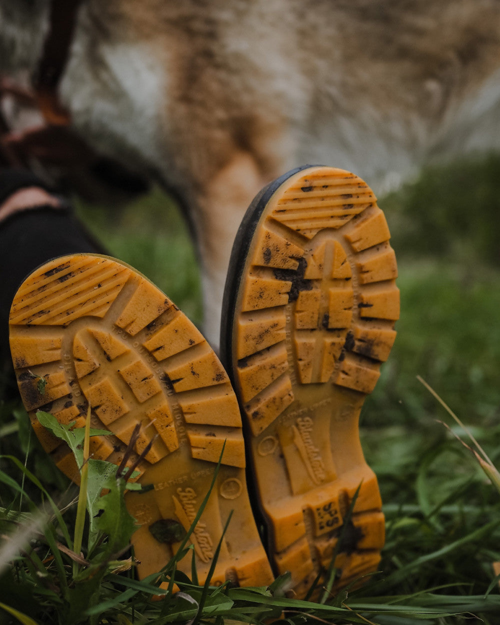 Women's Classics #1944 - Image 13